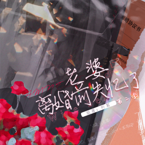 离婚前老婆失忆了 第二季